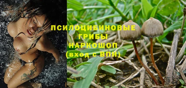 гашик Абдулино