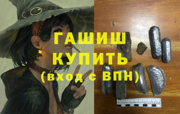 гидра Галич