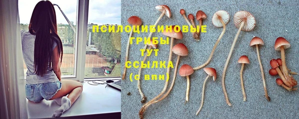 соль курить ск Абинск