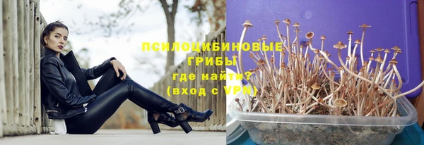 гашик Абдулино